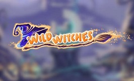 Wild Witches