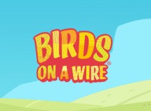 Birds on a Wire
