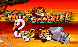 Wild Gambler