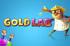 Gold Lab