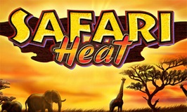 Safari Heat