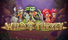 Wild Turkey